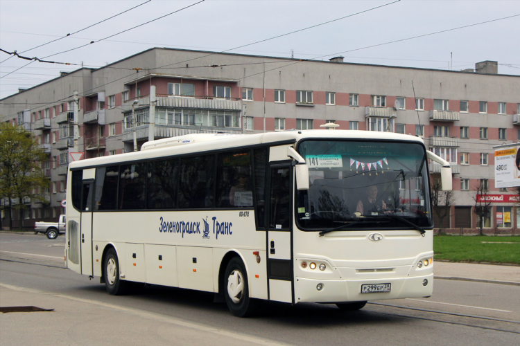 141 автобус зеленоградск калининград