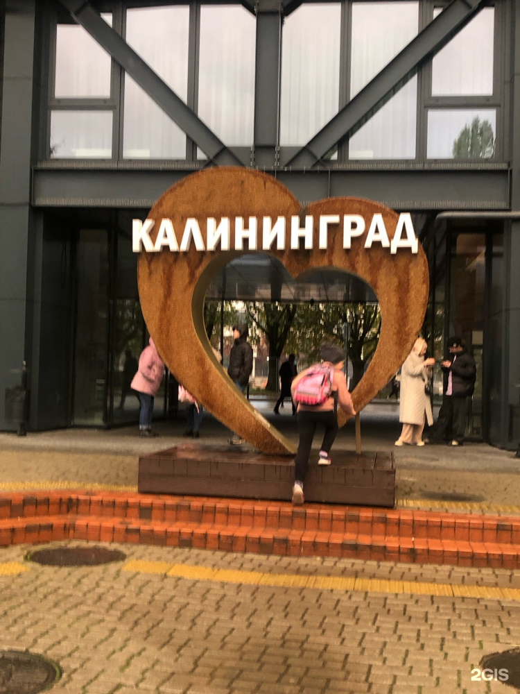 2гис калининград