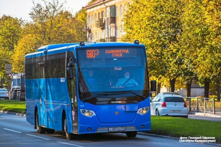 Автобус калининград гвардейск