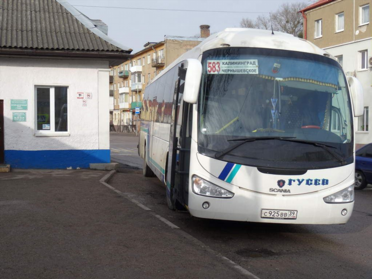 Автобус в калининград