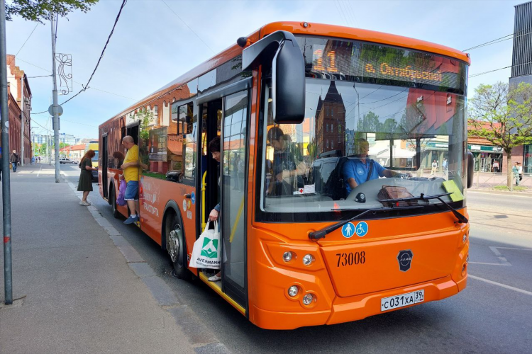 Автобусы калининграда