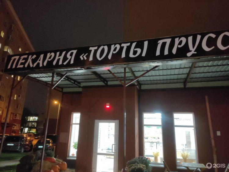 Дог френдли кафе калининград