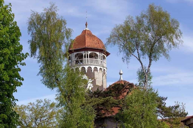 Фабрика сыра и шоколада в калининграде