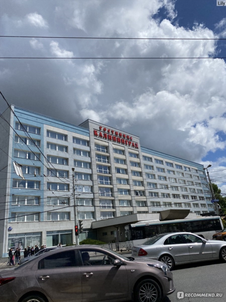 Гостиница россия калининград