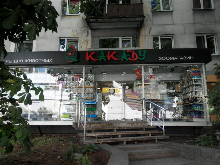 Какаду зоомагазин калининград режим работы