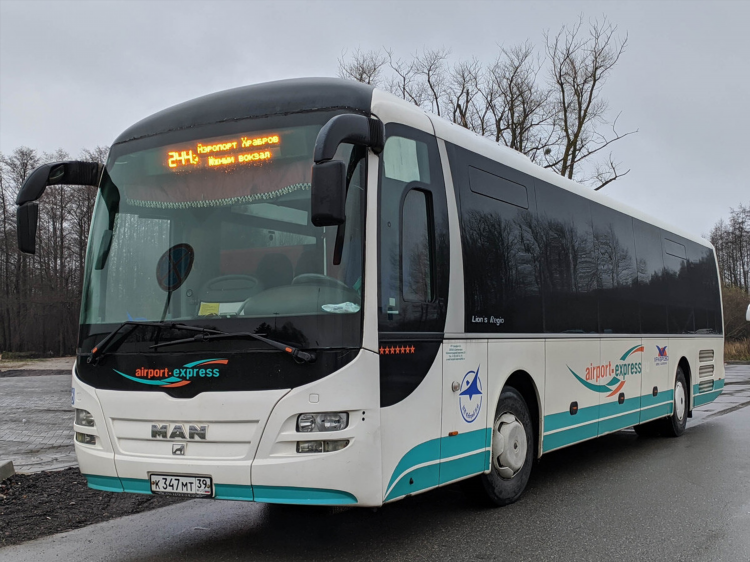 Калининград автобус 244э расписание