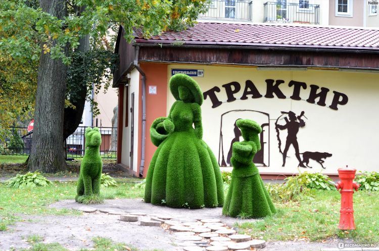Калининград город пионерский