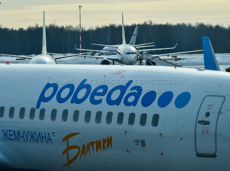 Калининград москва самолеты