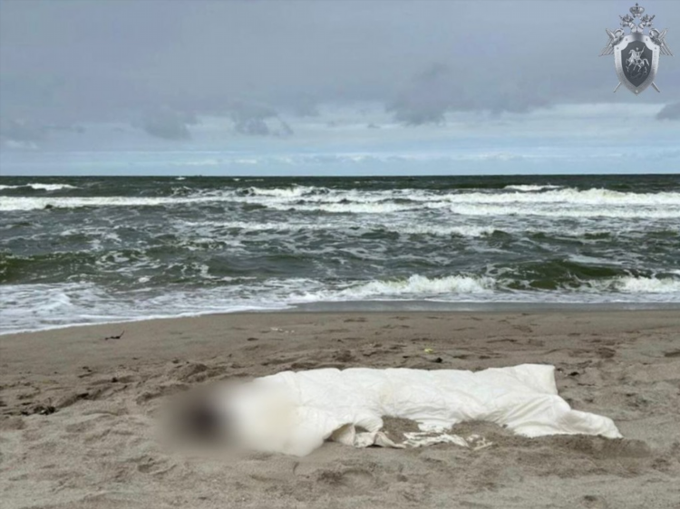 Калининград на балтийском море