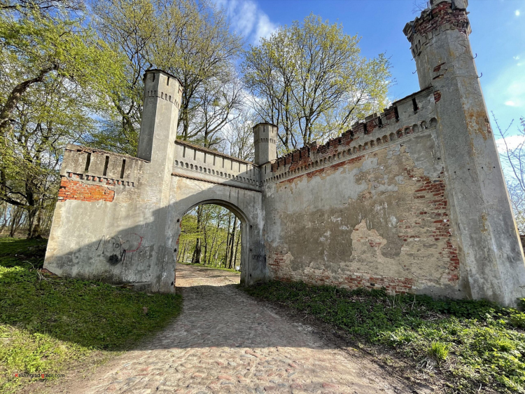 Калининград старый замок