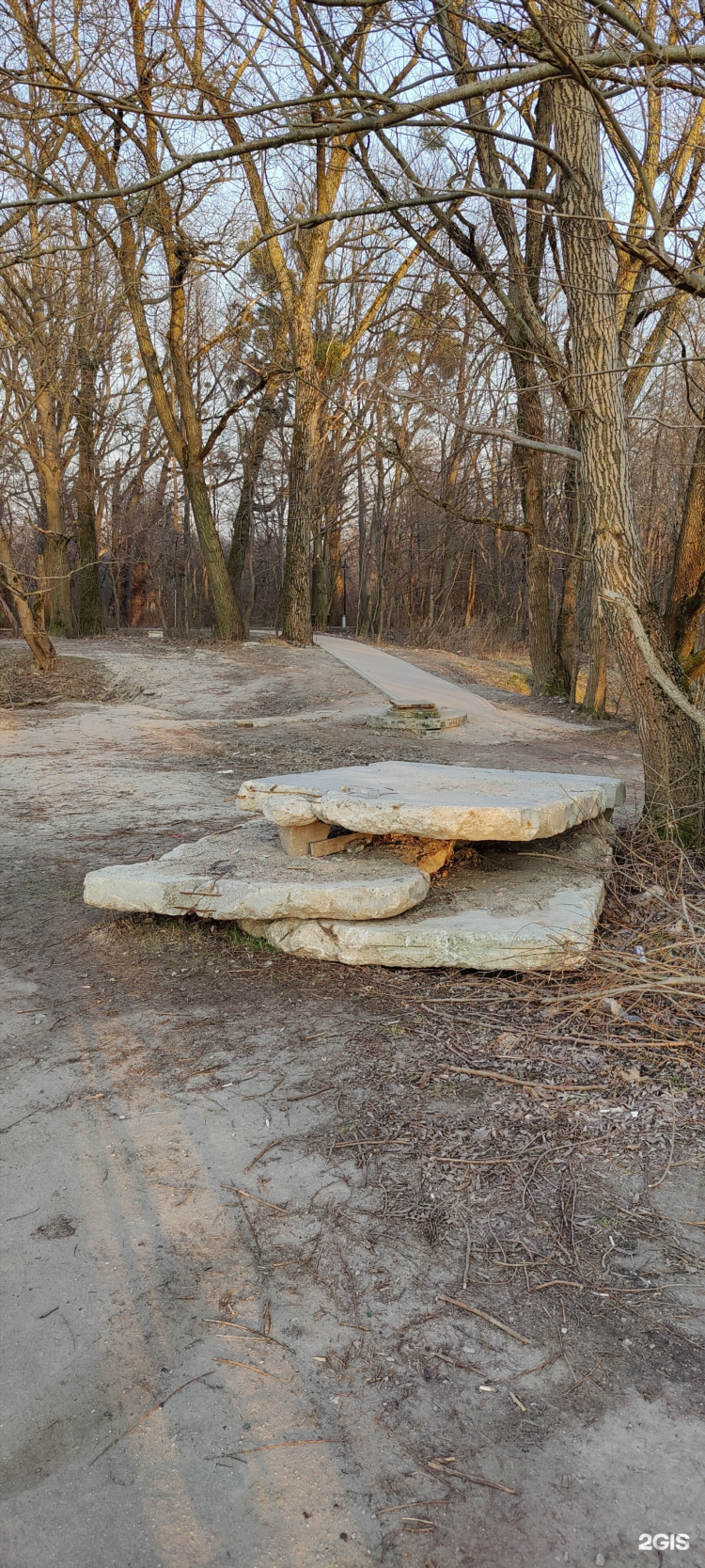 Колледж китис калининград официальный сайт