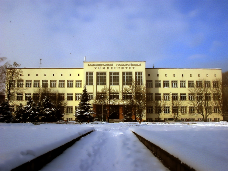 Колледж в калининграде после 9
