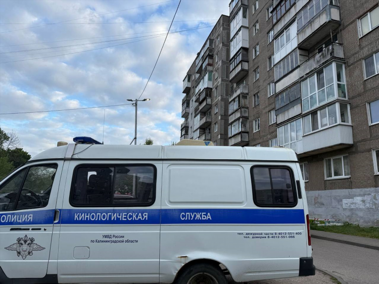 Медцентр 39 калининград официальный сайт
