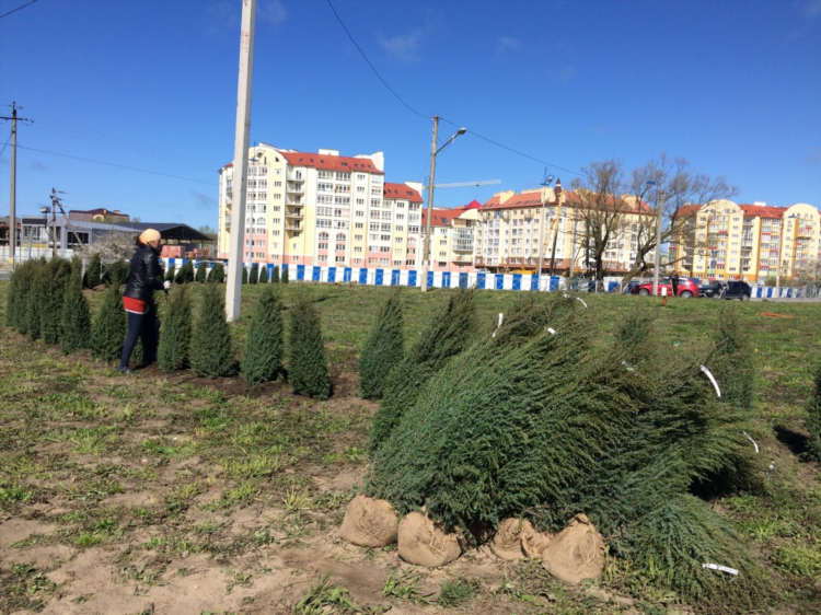 Новая холмогоровка в калининграде официальный сайт