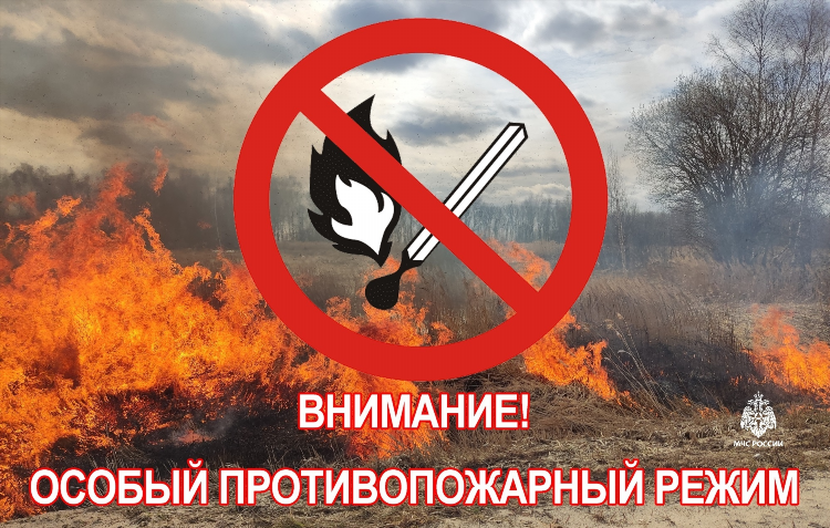 Новости калининградской обл