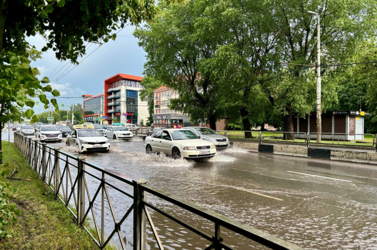 Новости в калининграде за последние сутки