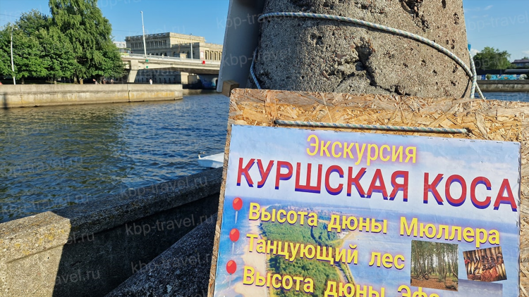 Орнитологическая станция калининград