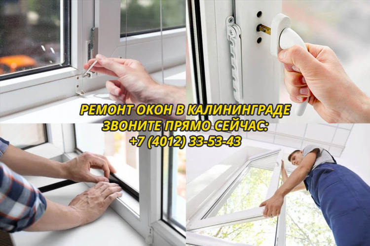 Профи ру калининград ремонт