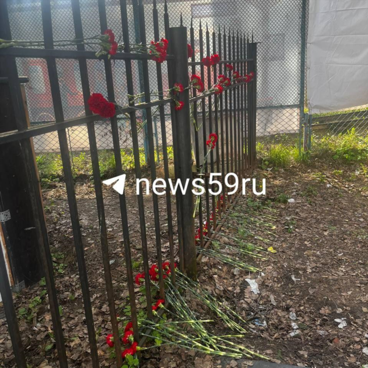 Программа передач на сегодня калининград твц