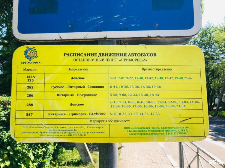 Расписание автобусов светлогорск калининград 118