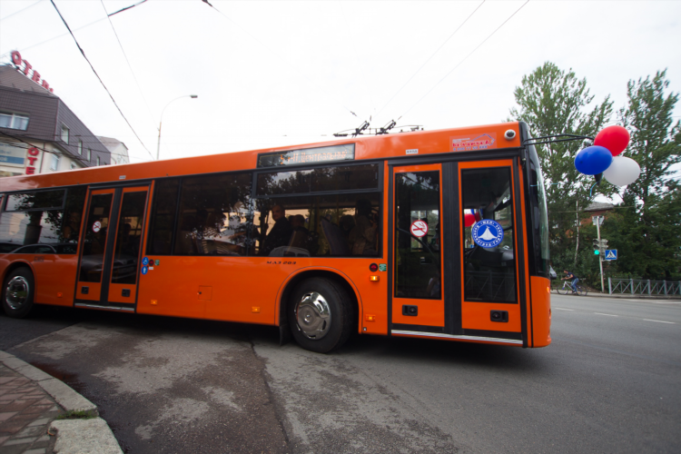 Расписание автобусов зеленоградск калининград 114