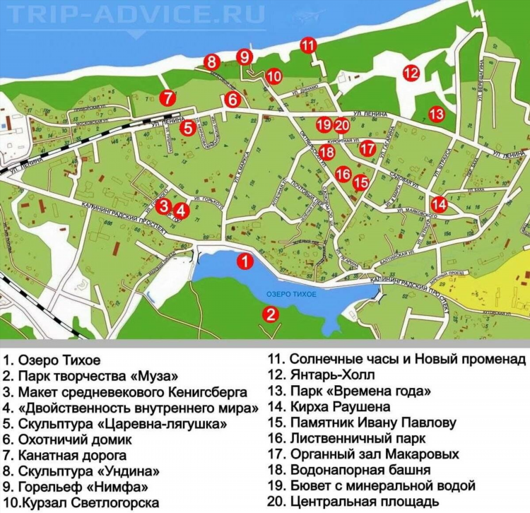 Расписание автобусов зеленоградск калининград 141