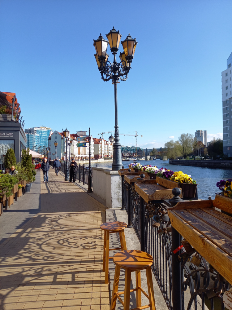 Расстояние новосибирск калининград