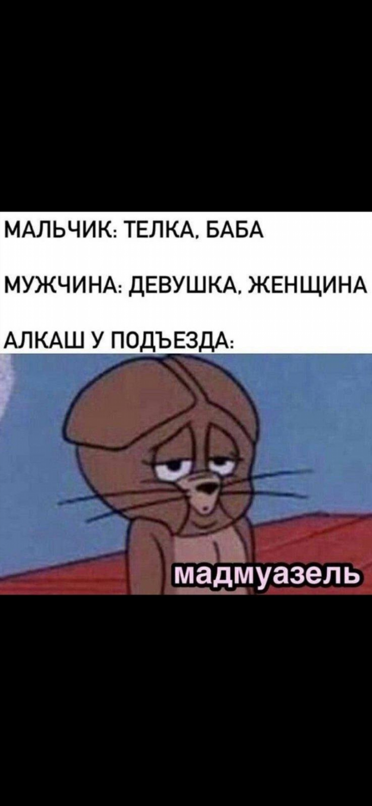 Роллгео калининград