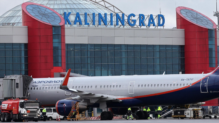 Спб калининград авиабилет