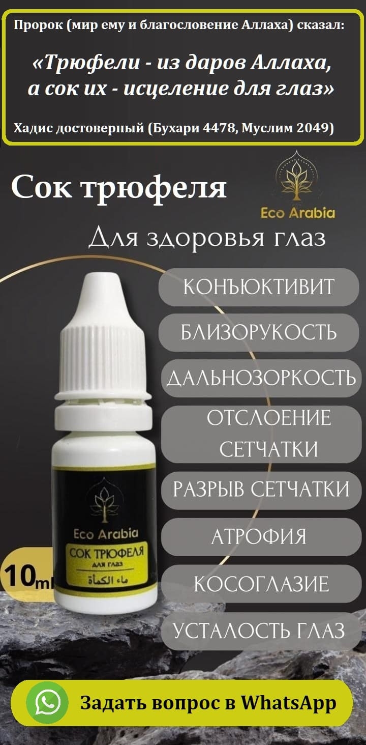 Температура сегодня в калининграде