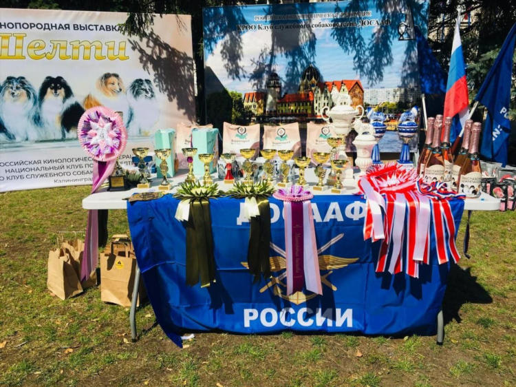 Тир досааф калининград