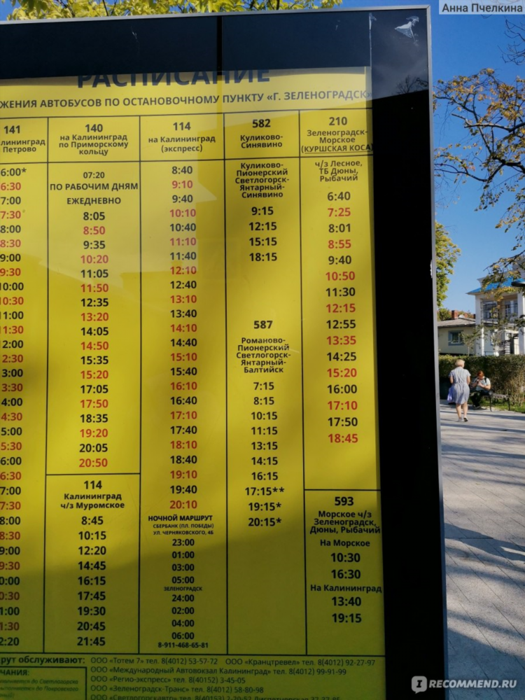 Зеленоградск калининград погода на неделю