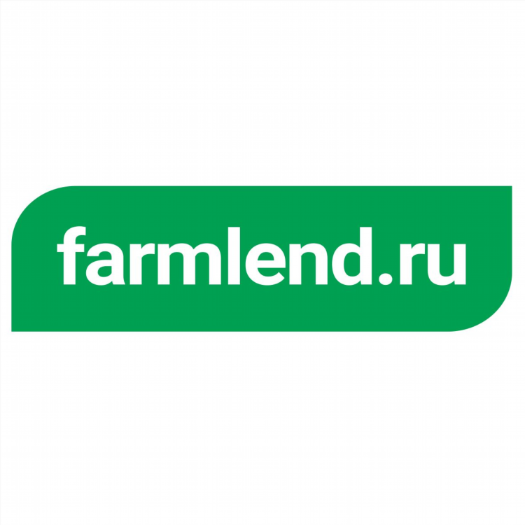 Живика калининград официальный сайт